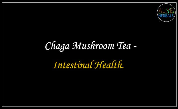 Chaga Mushroom Tea - Buy from the Tea Store Near Me 