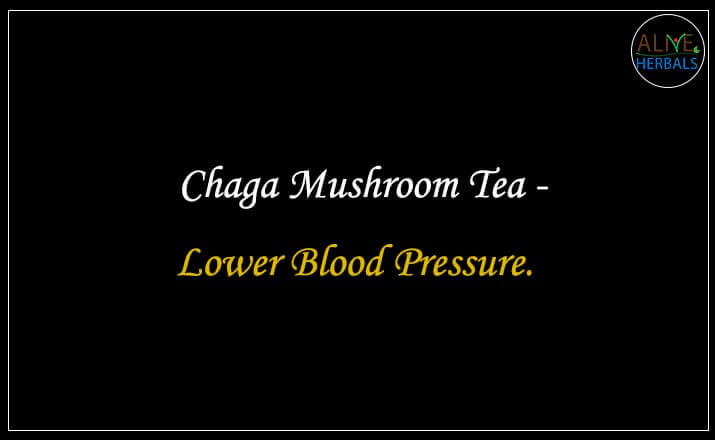 Chaga Mushroom Tea - Buy from the Health Food Store