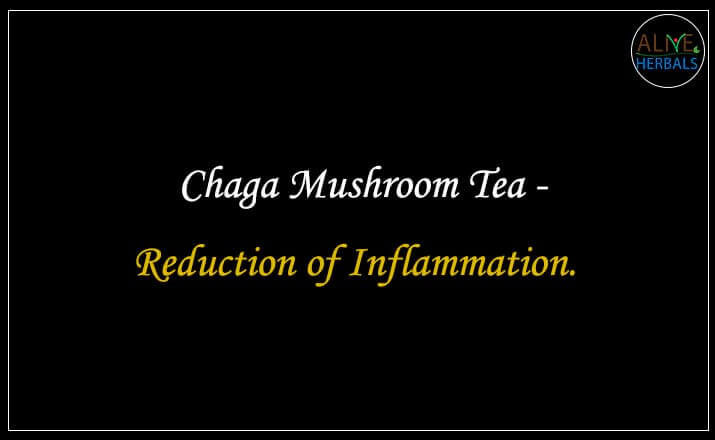 Chaga Mushroom Tea - Buy from the Tea Store Brooklyn