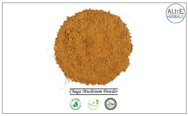 Chaga Mushroom Powder - Buy from the health food store
