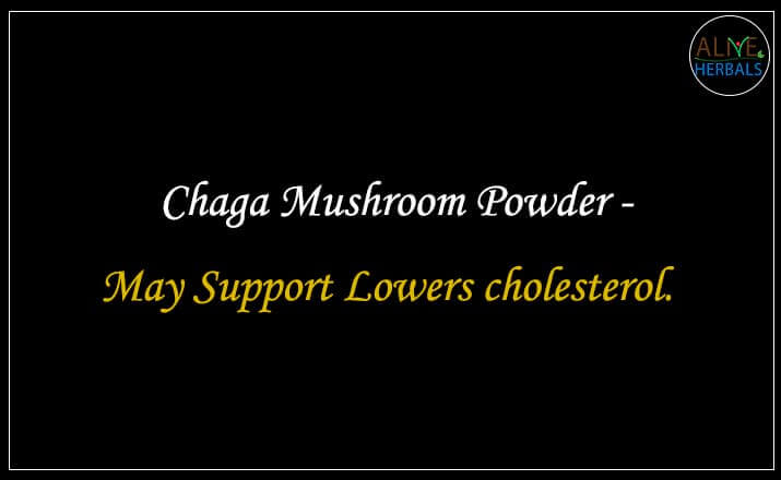 Chaga Mushroom Powder - Buy from the natural health food store