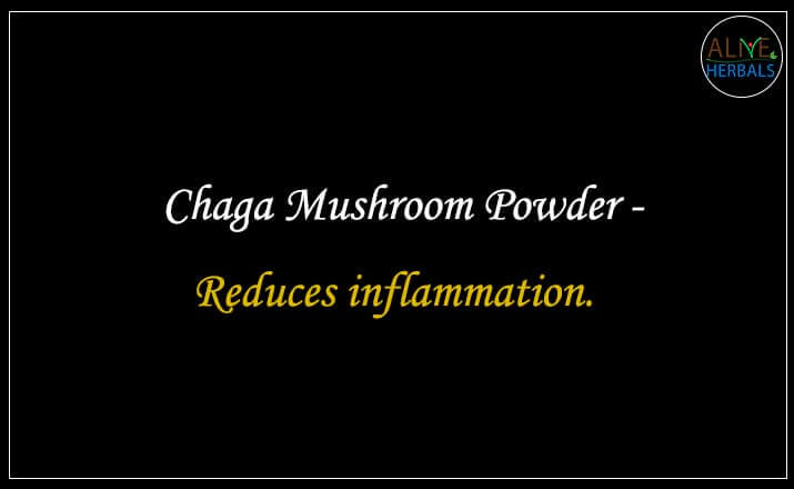 Chaga Mushroom Powder - Buy from the natural herb store