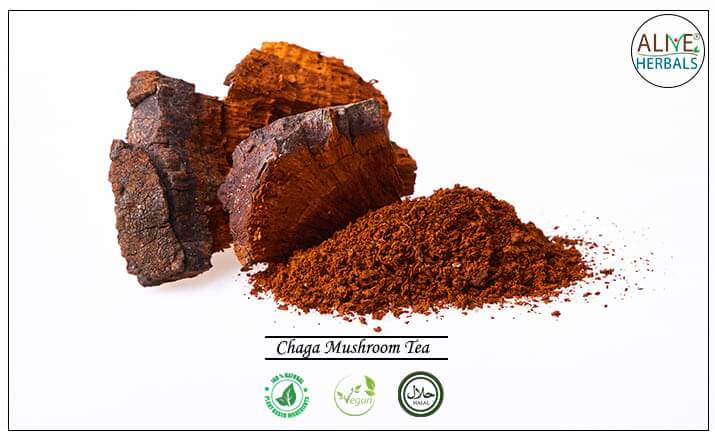 Chaga Mushroom Tea - Buy from Tea Store NYC