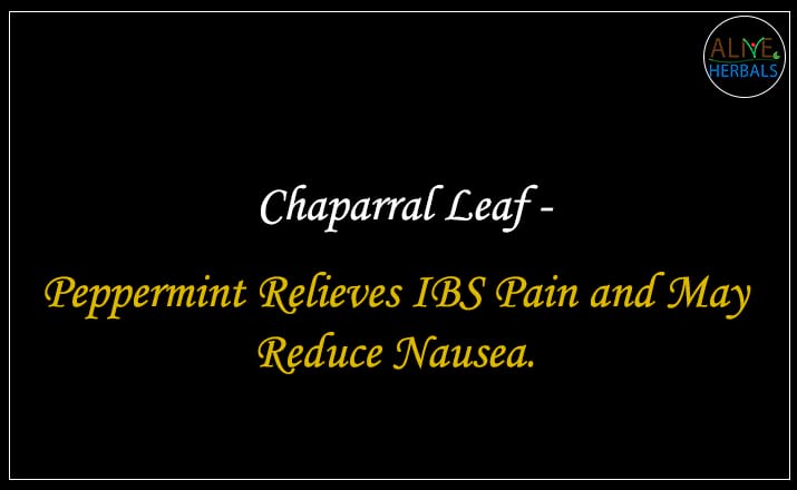 Chaparral Leaf - Buy from the online herbal store