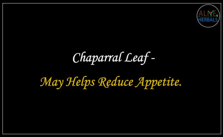 Chaparral Leaf - Buy from the natural health food store