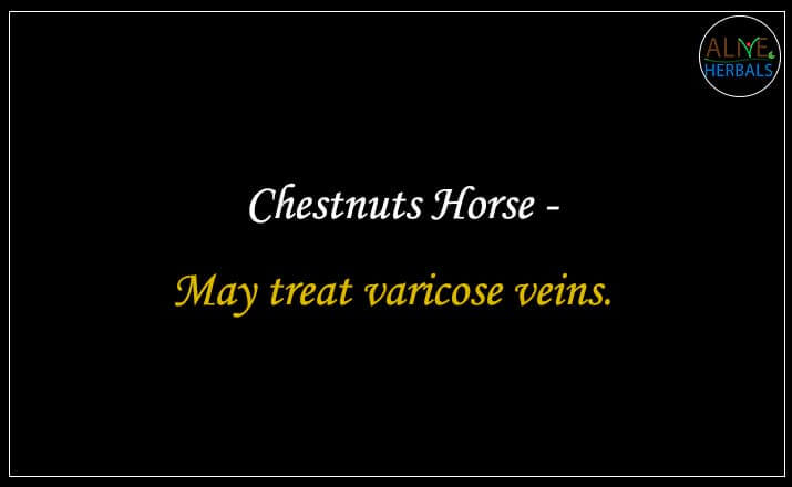 Chestnuts Horse - Buy from the online herbal store