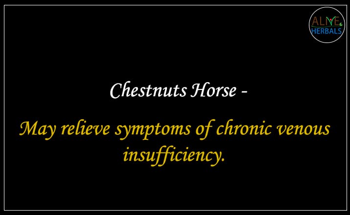 Chestnuts Horse - Buy from the natural herb store