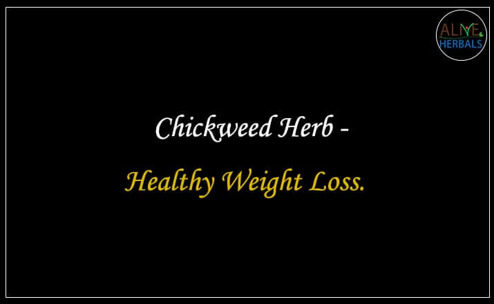 Chickweed Herb - Buy from the online herbal store