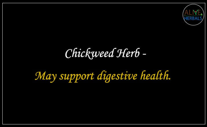 Chickweed Herb - Buy from the natural health food store