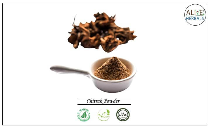 Chitrak Powder - Buy from the health food store