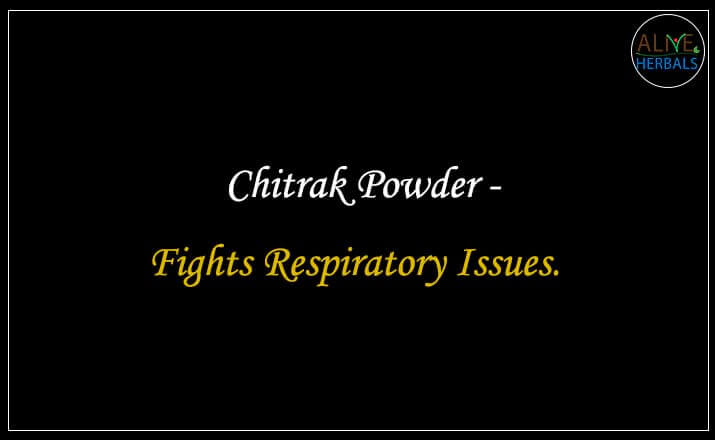 Chitrak Powder - Buy from the online herbal store