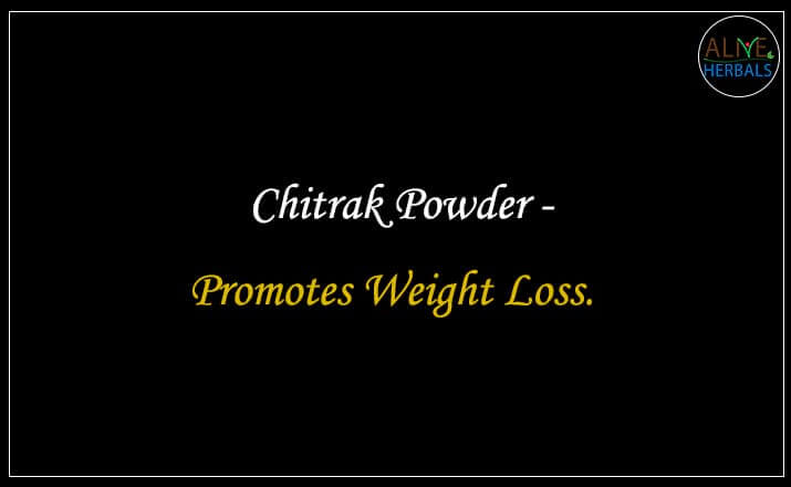 Chitrak Powder - Buy from the natural health food store