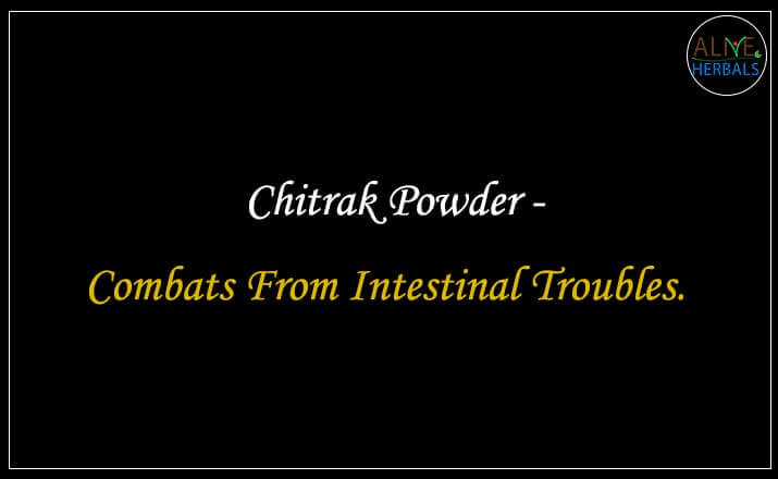 Chitrak Powder - Buy from the natural herb store