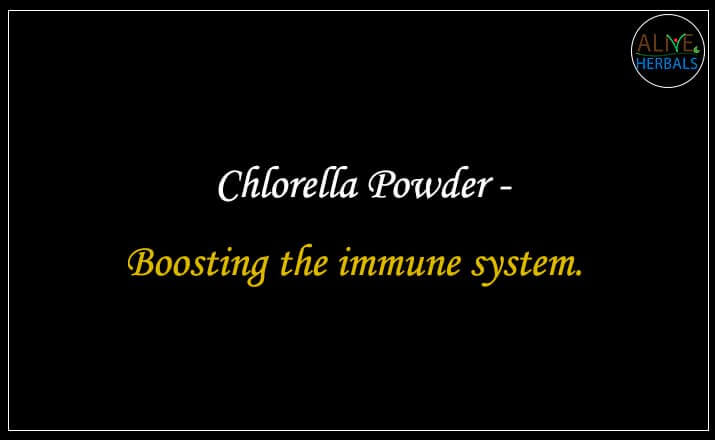 Chlorella Powder - Buy from the natural health food store