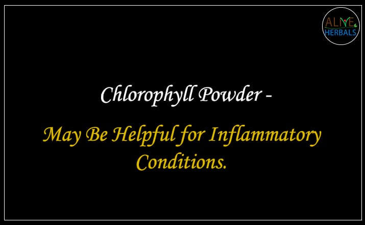 Chlorophyll Powder - Buy from the natural health food store