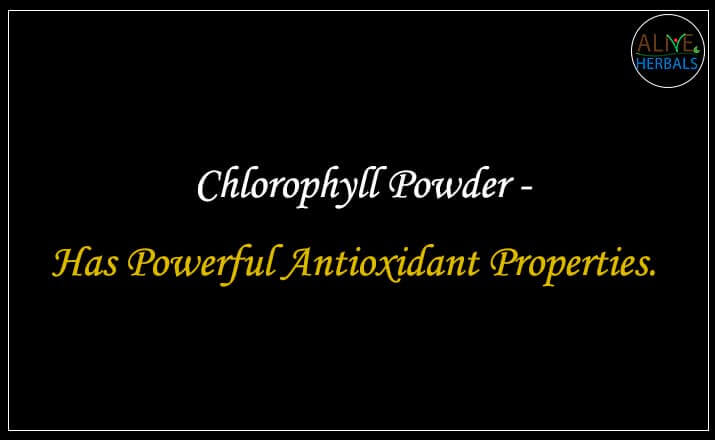 Chlorophyll Powder - Buy from the natural herb store