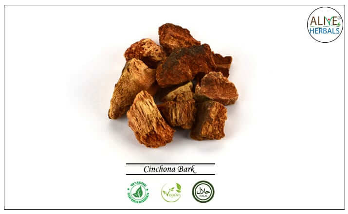 Cinchona Bark - Buy from Tea Store NYC