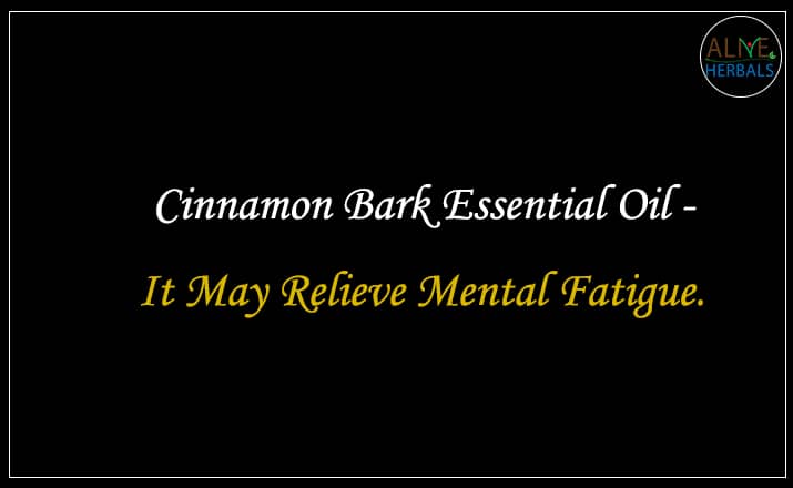 Cinnamon Bark Essential Oil - Buy From the Best aromatherapy store