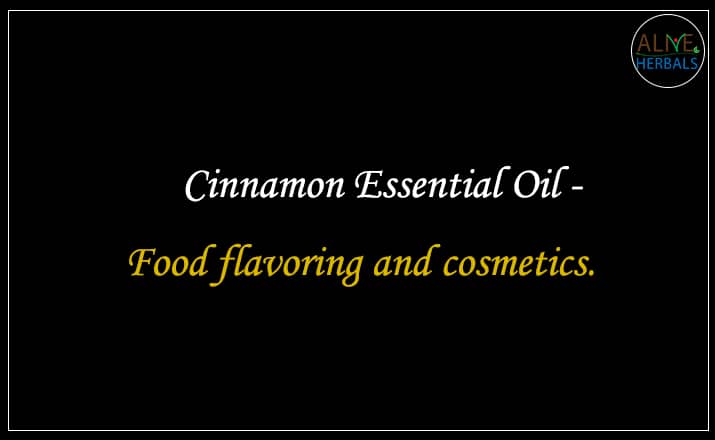 Cinnamon Essential Oil - Buy From the aromatherapy supplier