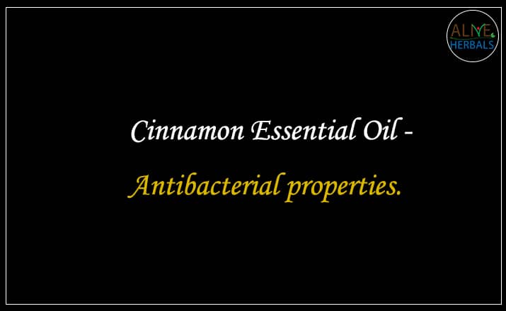 Cinnamon Essential Oil - Buy From the aromatherapy company