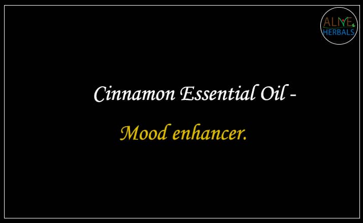 Cinnamon Essential Oil - Buy From the Best aromatherapy store