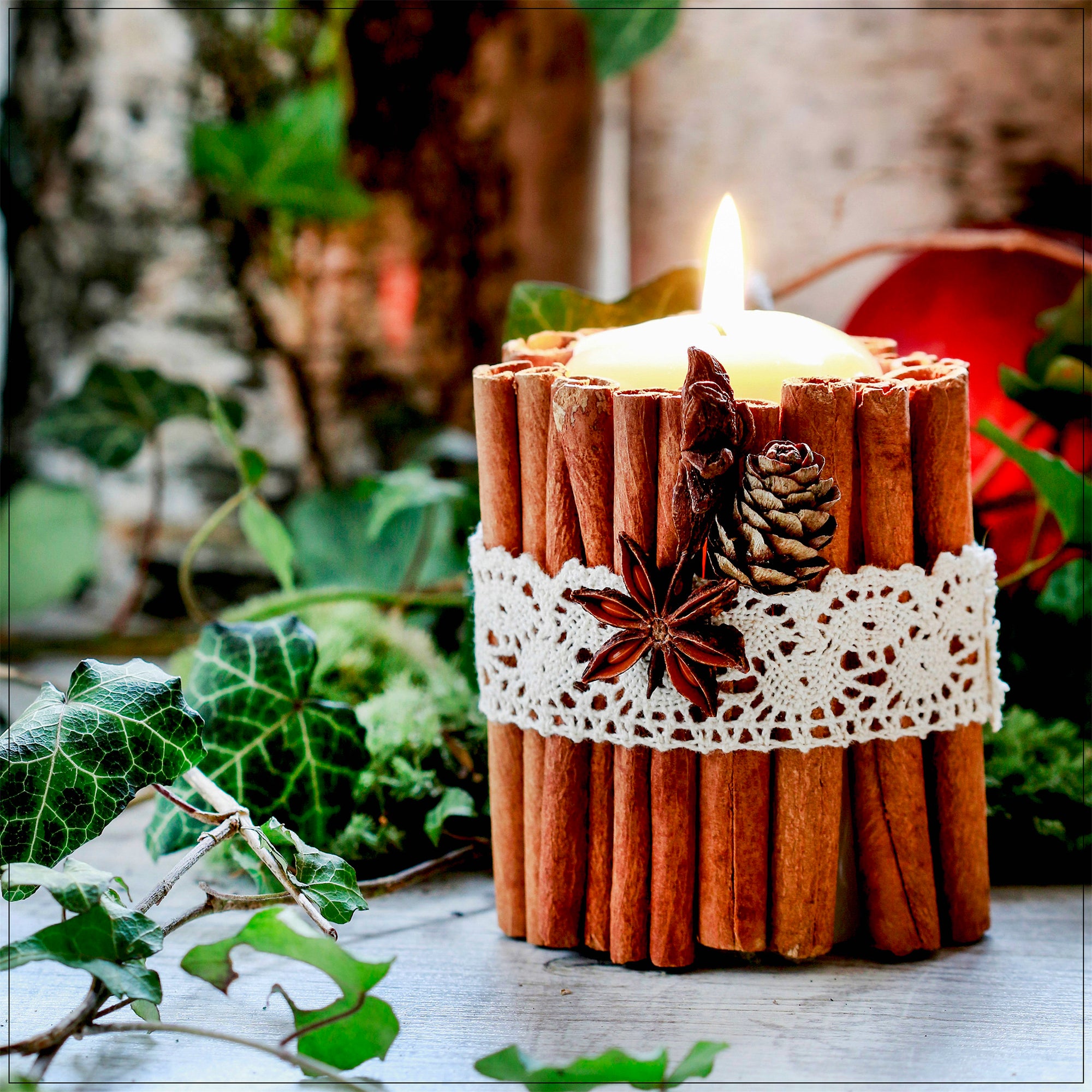 Cinnamon Sticks