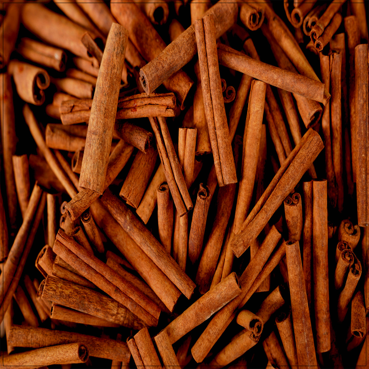 Cinnamon Sticks