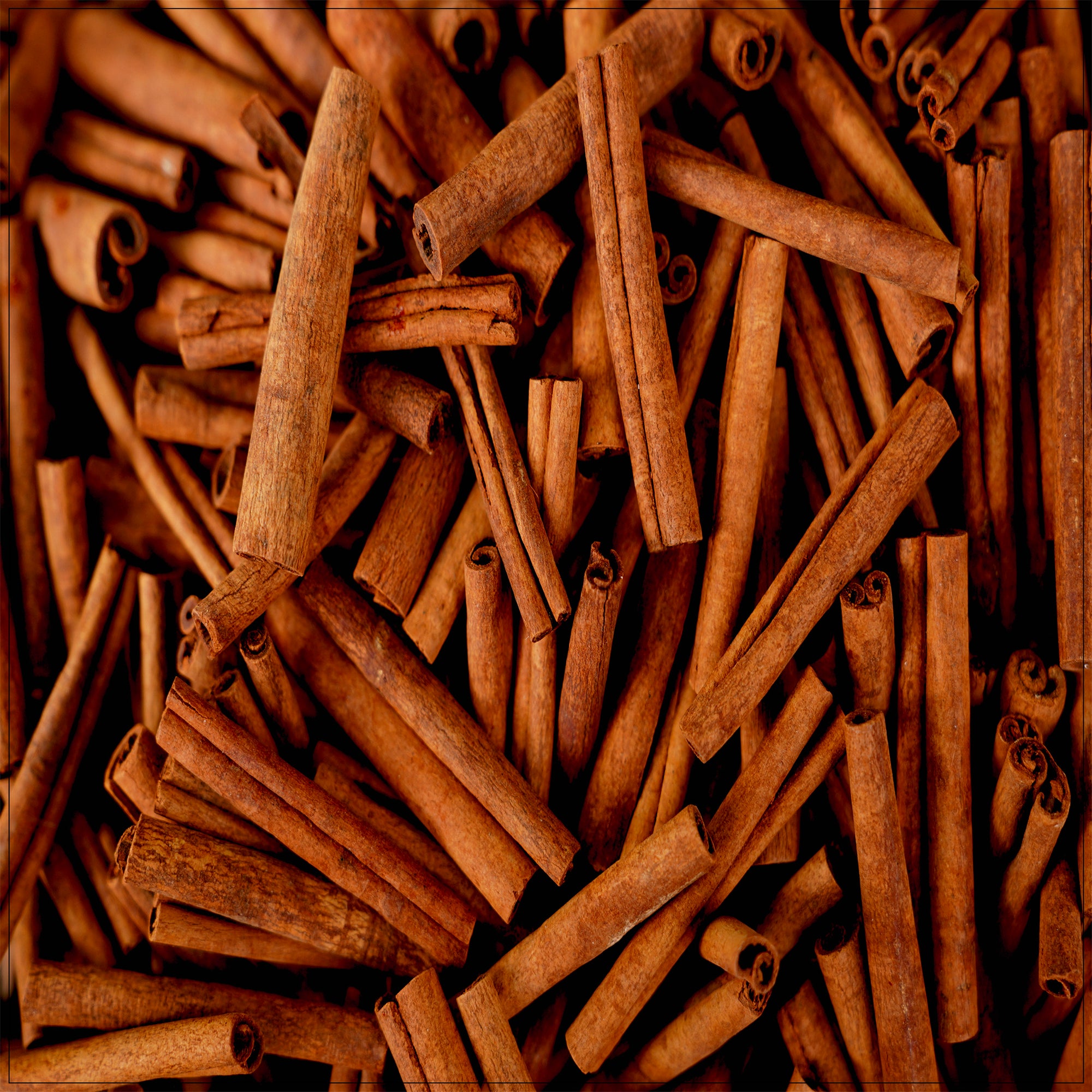 Cinnamon Sticks