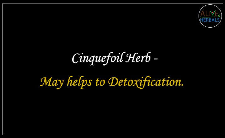 Cinquefoil Herb - Buy from the online herbal store