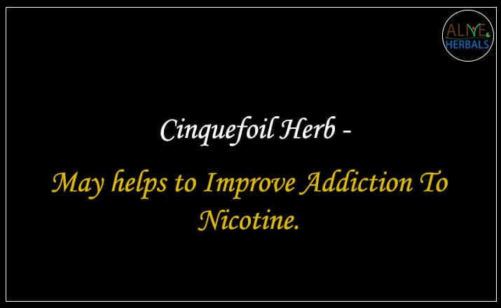 Cinquefoil Herb - Buy from the natural health food store
