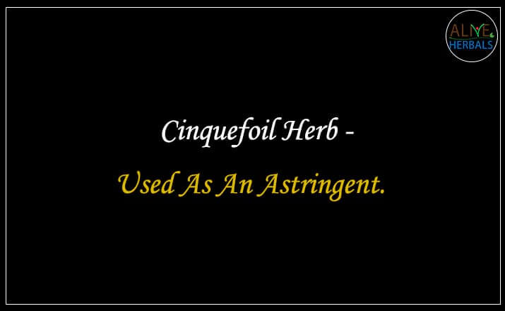 Cinquefoil Herb - Buy from the natural herb store