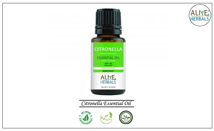 Citronella Essential Oil - Buy From the aromatherapy Shop