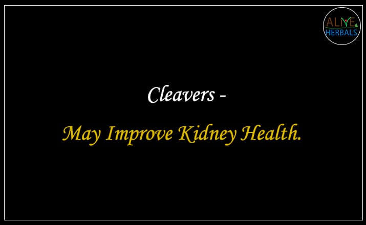 Cleavers - Buy from the online herbal store