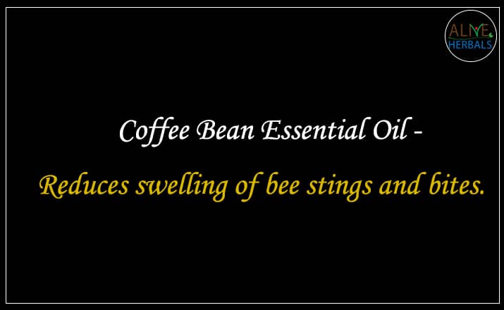 Coffee Bean Essential Oil - Buy From the aromatherapy company