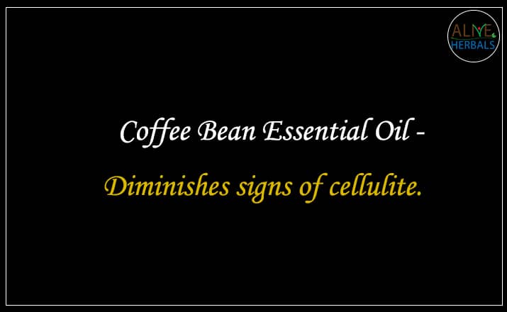 Coffee Bean Essential Oil - Buy From the Best aromatherapy store