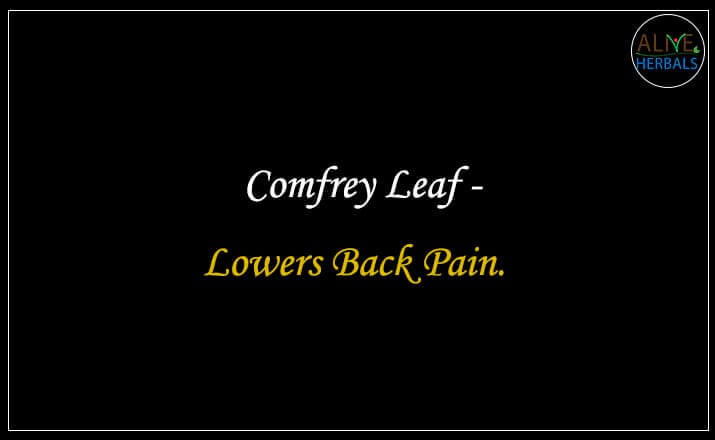 Comfrey Leaf - Buy from the online herbal store