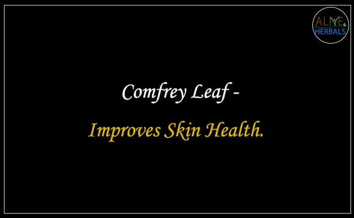 Comfrey Leaf - Buy from the natural herb store