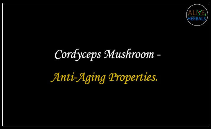 Cordyceps Mushroom - Buy from the online herbal store