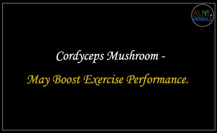 Cordyceps Mushroom - Buy from the natural herb store