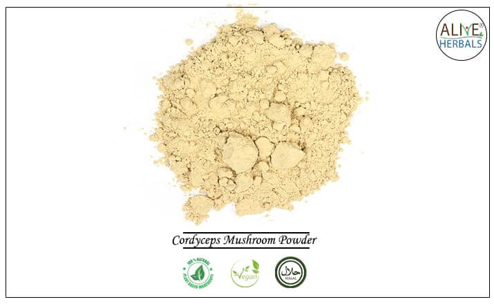 Cordyceps Mushroom Powder - Buy from the health food store