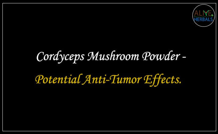 Cordyceps Mushroom Powder  - Buy from the natural health food store