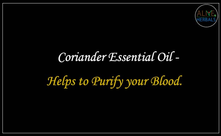 Coriander Essential Oil - Buy From the aromatherapy supplier