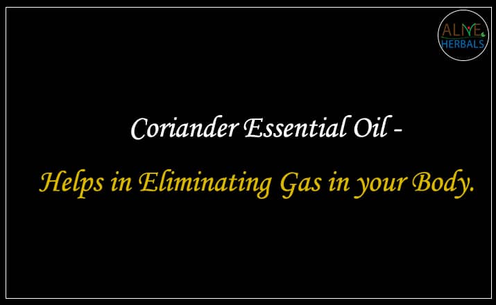 Coriander Essential Oil - Buy From the aromatherapy company