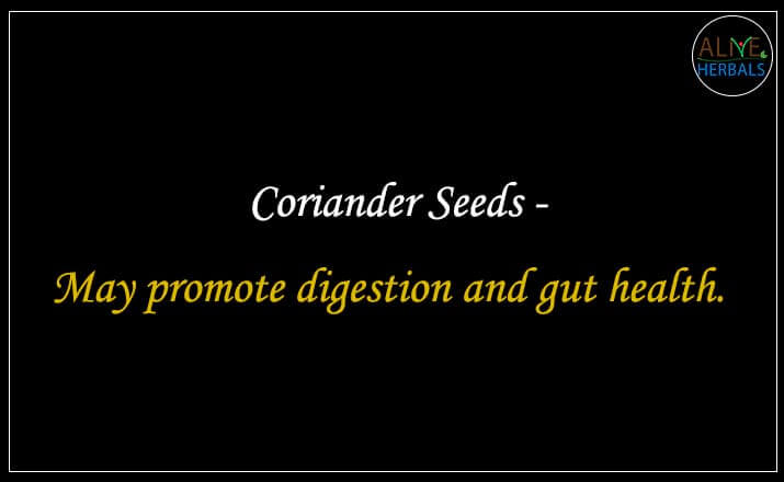 Coriander Seeds - Buy at the Spice Store Brooklyn - Alive Herbals.