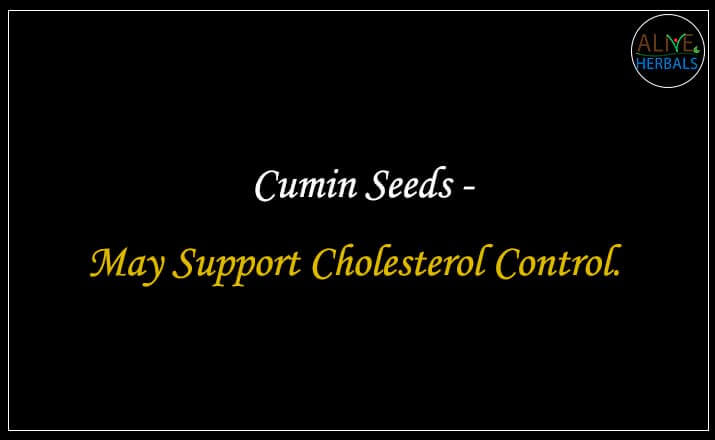 Cumin Seeds - Buy at the Spice Store Brooklyn - Alive Herbals.