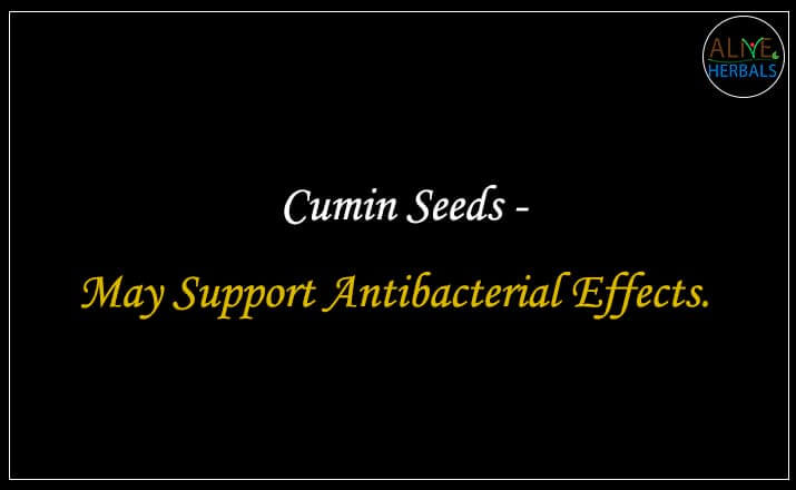 Cumin Seeds - Buy at the Best Spice Store NYC - Alive Herbals.