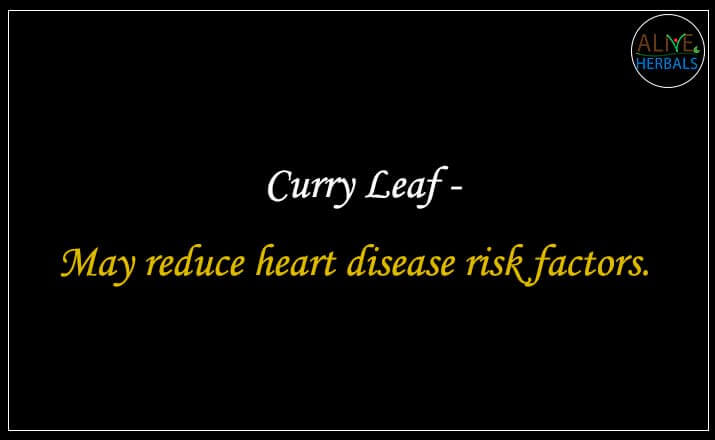 Curry Leaf - Buy at the Spice Store Brooklyn - Alive Herbals.