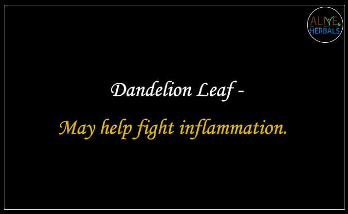 Dandelion Leaf - Buy from the natural health food store