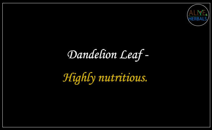 Dandelion Leaf - Buy from the natural herb store