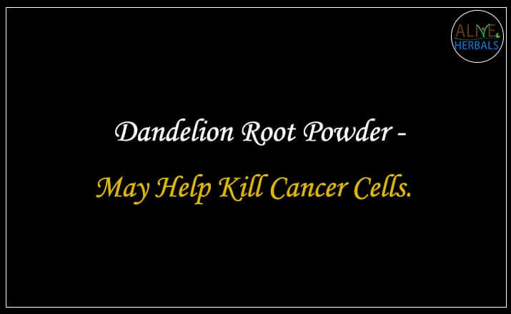 Dandelion Root Powder - Buy from the natural herb store